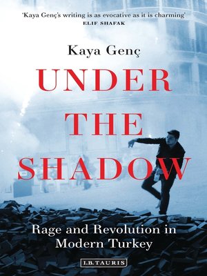 cover image of Under the Shadow